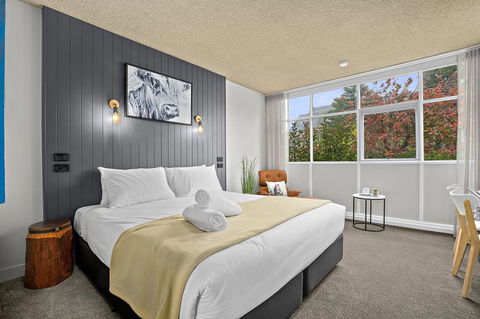 City Centre Motel Armidale - Redcliffe Tourism 8