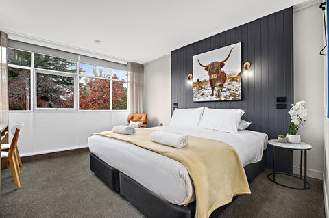 City Centre Motel Armidale - Redcliffe Tourism 26