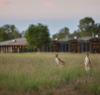 Wildman Wilderness Lodge - Redcliffe Tourism
