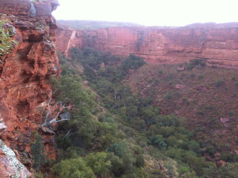 Discovery Resorts - Kings Canyon - Redcliffe Tourism 34