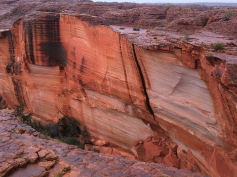 Discovery Resorts - Kings Canyon - Redcliffe Tourism 36