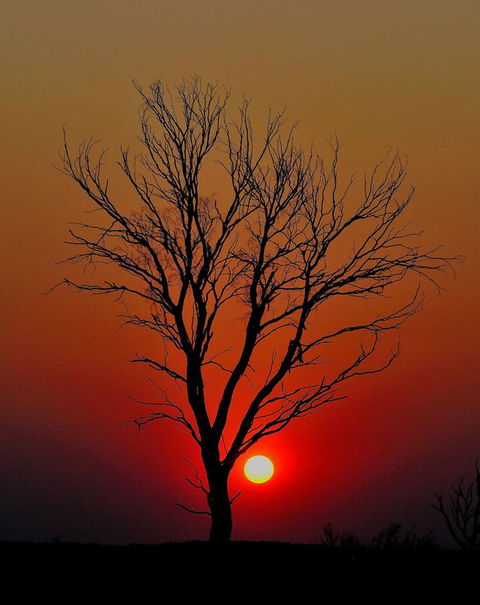 Discovery Resorts - Kings Canyon - Redcliffe Tourism 43