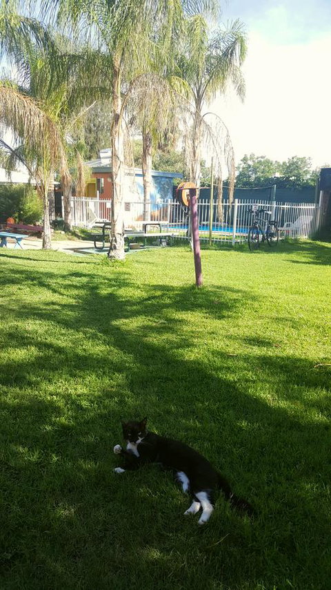 Alice Lodge - Redcliffe Tourism 26