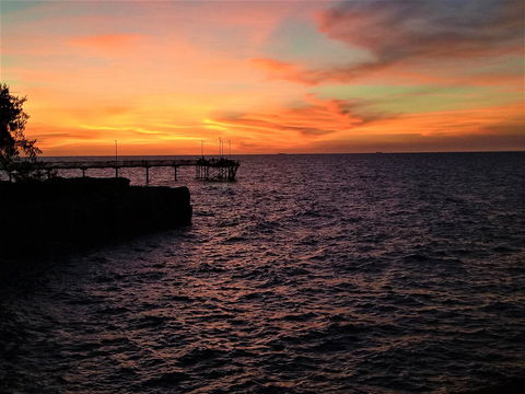 Arafura Blue - Redcliffe Tourism 29