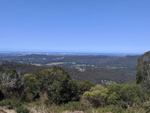 Bottletree Gardens - Mini Manson Blue - Redcliffe Tourism 1