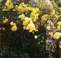 Bowral Road Bed and Breakfast - Redcliffe Tourism