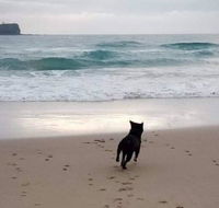 Breakers at Mudjimba Beach - Redcliffe Tourism