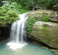 Buderim Forest Hideaway - Redcliffe Tourism