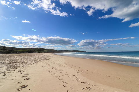 Catho Cottage - Redcliffe Tourism 2