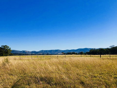 Charlotte Tiny House - Redcliffe Tourism 2