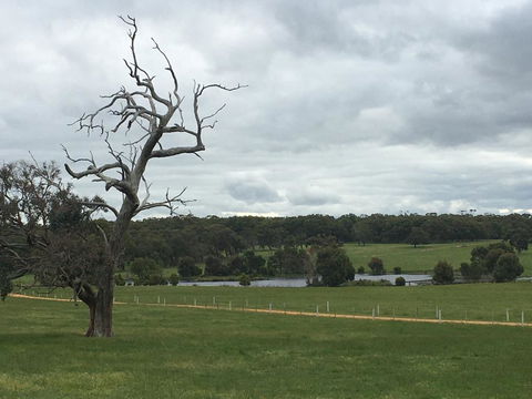 Country Farm House Close To Ballarat - Redcliffe Tourism 1