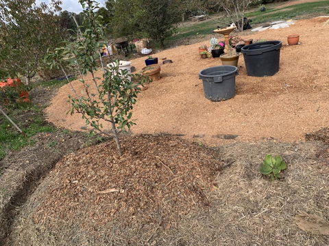 Creative 3D Sculpture Share - Redcliffe Tourism 1