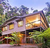 Daintree Magic - Redcliffe Tourism
