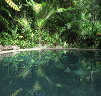 Daintree Rainforest Retreat Motel - Redcliffe Tourism