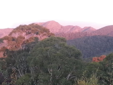 Day Dream Cottage - Redcliffe Tourism 2