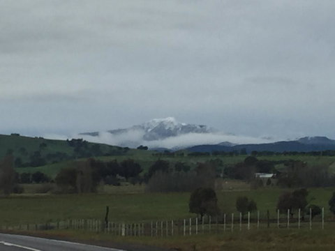 Day Dream Cottage - Redcliffe Tourism 0