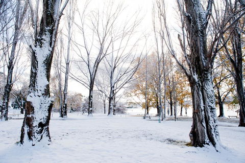 Discovery Parks - Jindabyne - Redcliffe Tourism 3