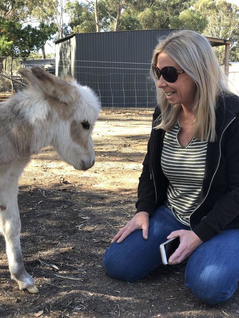 Donkey Tales Farm Cottages - Redcliffe Tourism 1