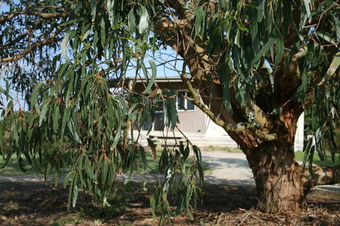 Driftwood Villas - Redcliffe Tourism 3