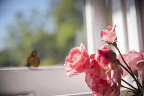 Dwellingup Retreat - Redcliffe Tourism 3