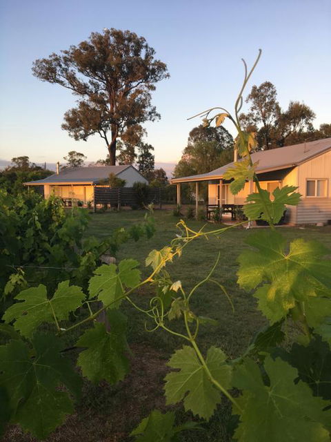 Emma's Cottage Vineyard - Redcliffe Tourism 3