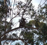 Escape to the Country - Enjoy the firepit or explore magical Bunya Mountains - Redcliffe Tourism