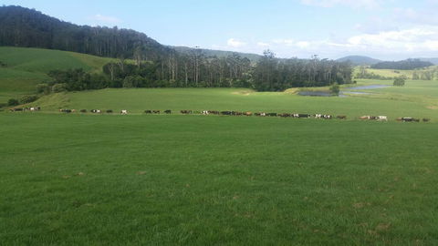 Farm Golf - Redcliffe Tourism 2