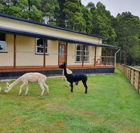 Farm Stay Lowana Strahan - Redcliffe Tourism