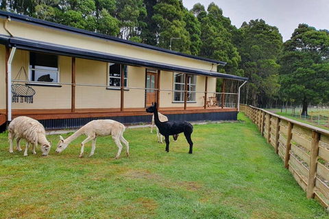 Farm Stay Lowana, Strahan - Redcliffe Tourism 0