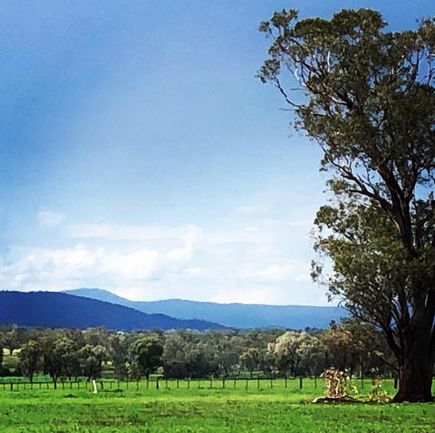 Fourjay Farmstay - Redcliffe Tourism 0