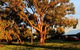 French Island Cottage - thumb 1