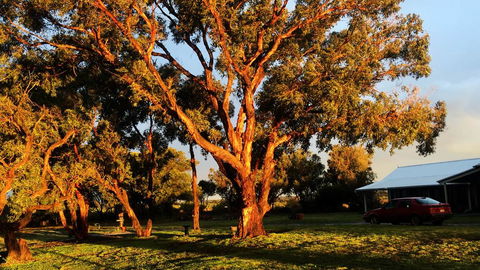 French Island Cottage - Redcliffe Tourism 1