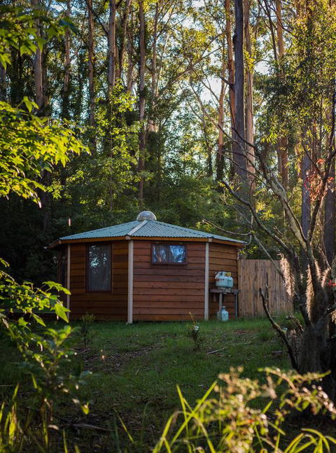 Funky Yurt On Acreage - Redcliffe Tourism 3