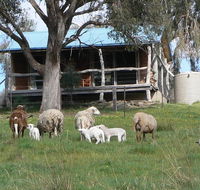 Gaddleen Grove Cottages - Redcliffe Tourism