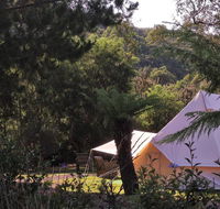 Glamping at Zeehan Bush Camp