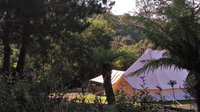 Book Zeehan Accommodation Vacations Redcliffe Tourism Redcliffe Tourism