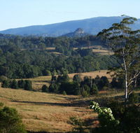 Grey Gum Lodge - Redcliffe Tourism