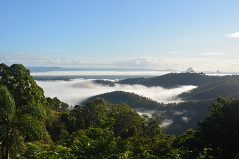 Gumnut Cottage - Redcliffe Tourism 1