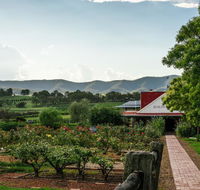 Hanging Tree Wines - Redcliffe Tourism