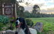 Harmony Forest Cottages & Lake Side Lodge - thumb 2