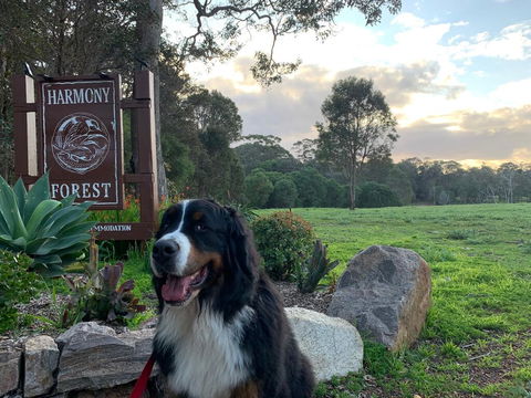 Harmony Forest Cottages & Lake Side Lodge - Redcliffe Tourism 2
