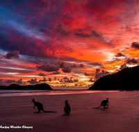 Heather's Mica Cottage - Redcliffe Tourism