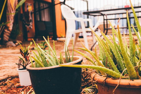 JJs Backpackers Hostel - Redcliffe Tourism 2