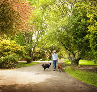 Johanna River Farm  Cottages - Redcliffe Tourism