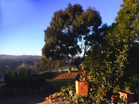 Kangaroo Hill Studio - Redcliffe Tourism 2