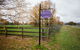 King River Cottage - thumb 0