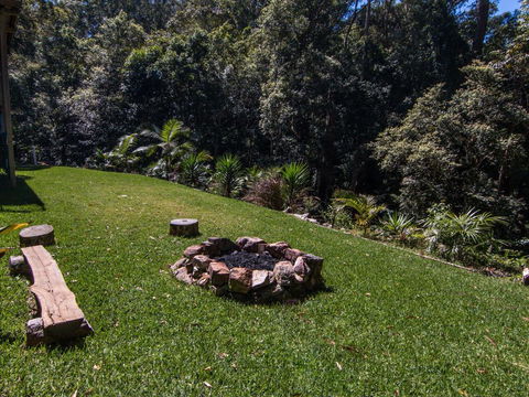 Kookaburras @ Smiths - Redcliffe Tourism 2