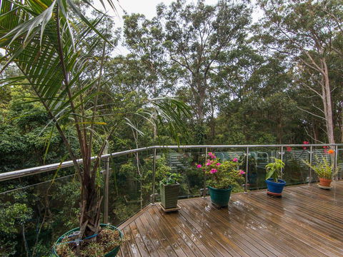 Kookaburras @ Smiths - Redcliffe Tourism 3