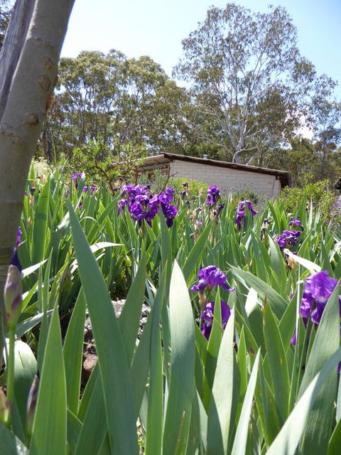 Lakeside Lodge Armidale - Redcliffe Tourism 3