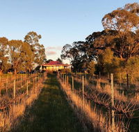 Lillicur Vineyard BB - Redcliffe Tourism